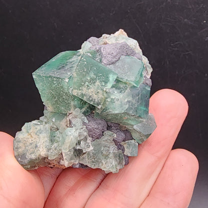 A hand displays a stunning specimen from The Crystalary's Fluorite and Galena collection, sourced from the Diana Maria Mine in Co Durham, UK. The piece features green fluorite crystals accented with dark mineral inclusions akin to galena, set against a plain black background. This striking formation captures the essence of Greedy Hog Pocket treasures. (SKU: 3064)