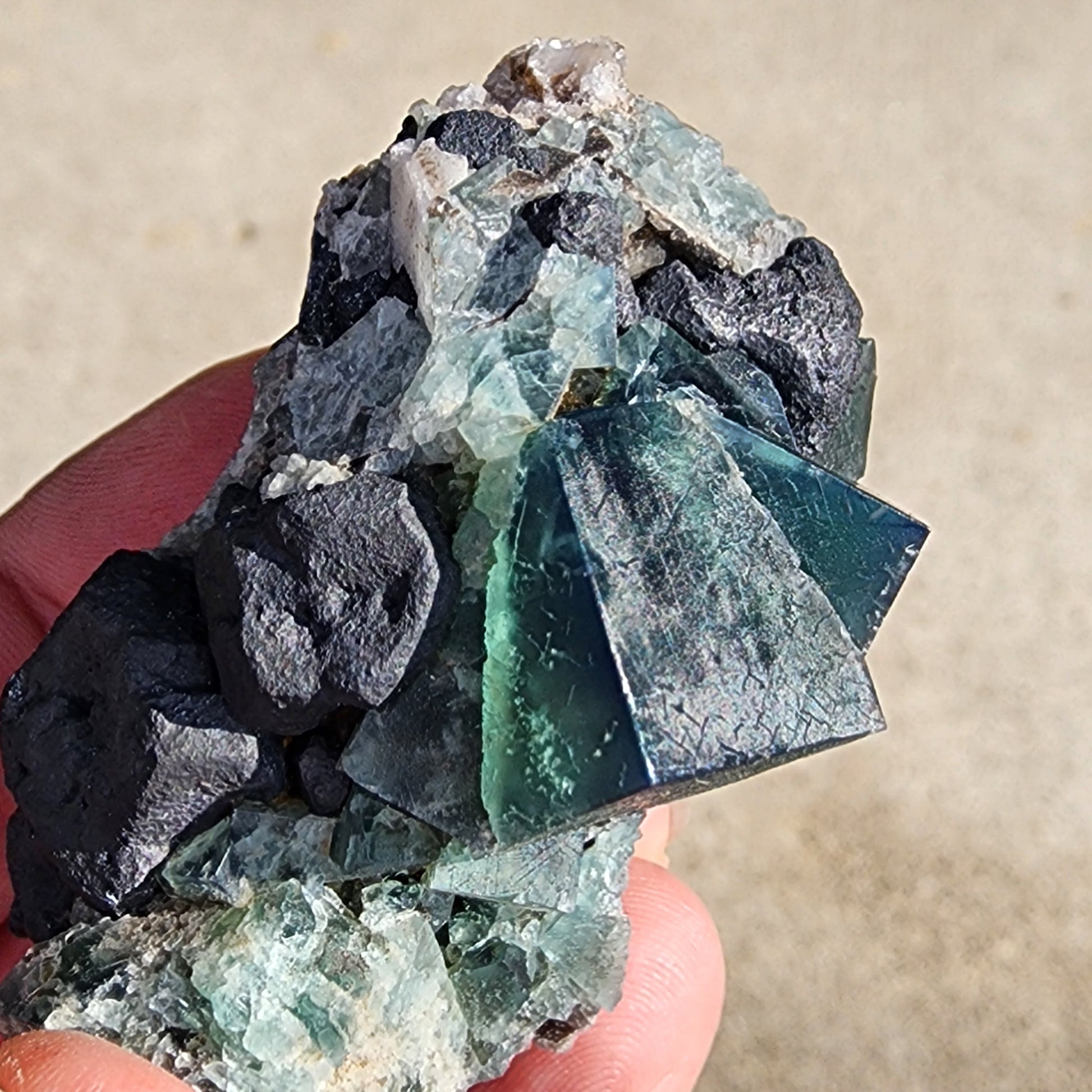 A close-up captures a hand showcasing a mineral specimen from The Crystalary, featuring cubic green-blue fluorite crystals intertwined with scattered Galena amidst darker, rugged rocks. The backdrop remains a blurred, plain beige surface. This piece, titled "Fluorite and Galena - Greedy Hog pocket," originates from the Diana Maria Mine in Co Durham, UK and is identified by SKU 3064.