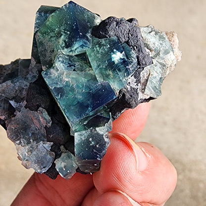 A hand holds a specimen from The Crystalary, featuring cubical blue and green fluorite crystals nestled within a dark rocky matrix. This striking piece, known as Fluorite and Galena from the Greedy Hog pocket at Diana Maria Mine in Co Durham, UK (SKU 3064), reveals beautifully glistening translucent crystals in the sunlight.