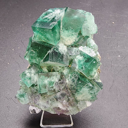 A captivating arrangement of translucent green fluorite crystals from The Crystalary, specifically the Greedy Hog pocket of the Diana Maria Mine in Co Durham, UK (SKU 3063), features sharp, geometric formations. Mounted on a stand against a dark backdrop, this mineral's surfaces present smoothness and subtle reflectivity.