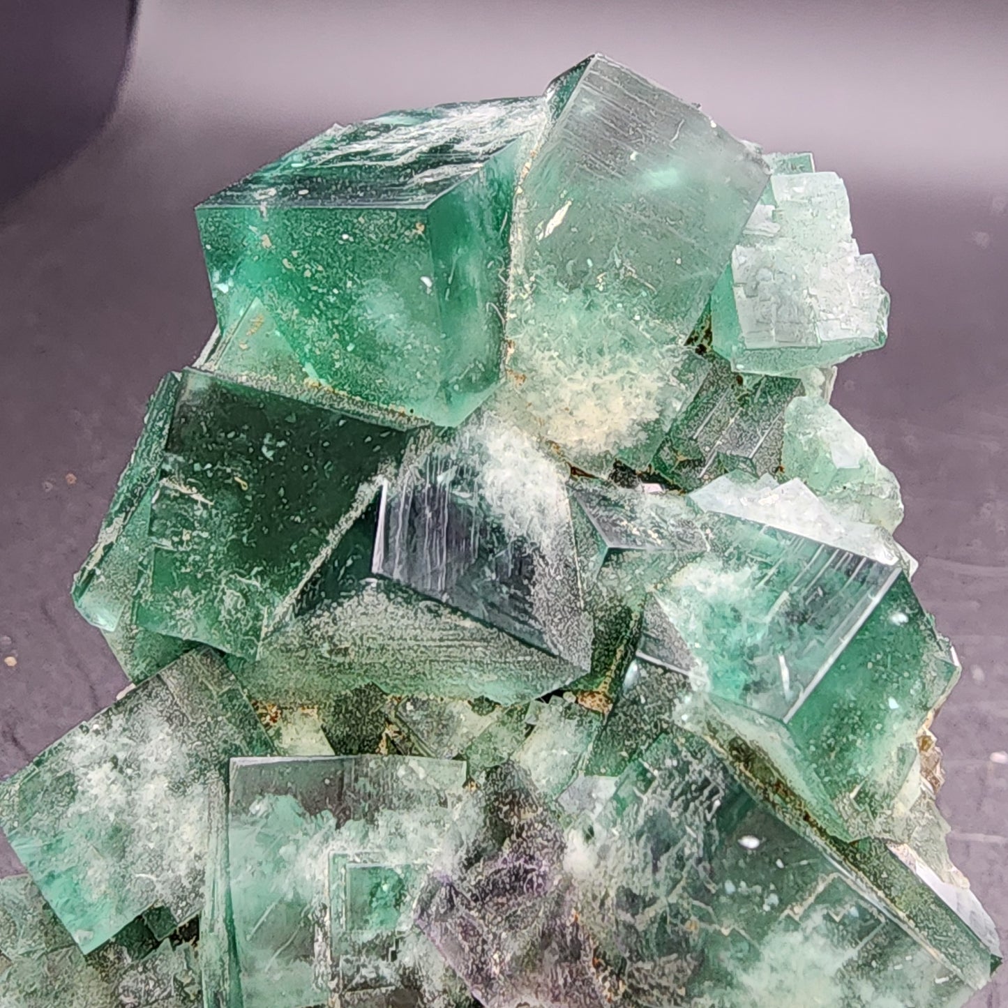 A collection of translucent green fluorite crystals from the Greedy Hog pocket at the Diana Maria Mine in Co Durham, UK, SKU 3063, displays sharp edges and glossy surfaces, beautifully illuminated against a dark background. Brought to you by The Crystalary.