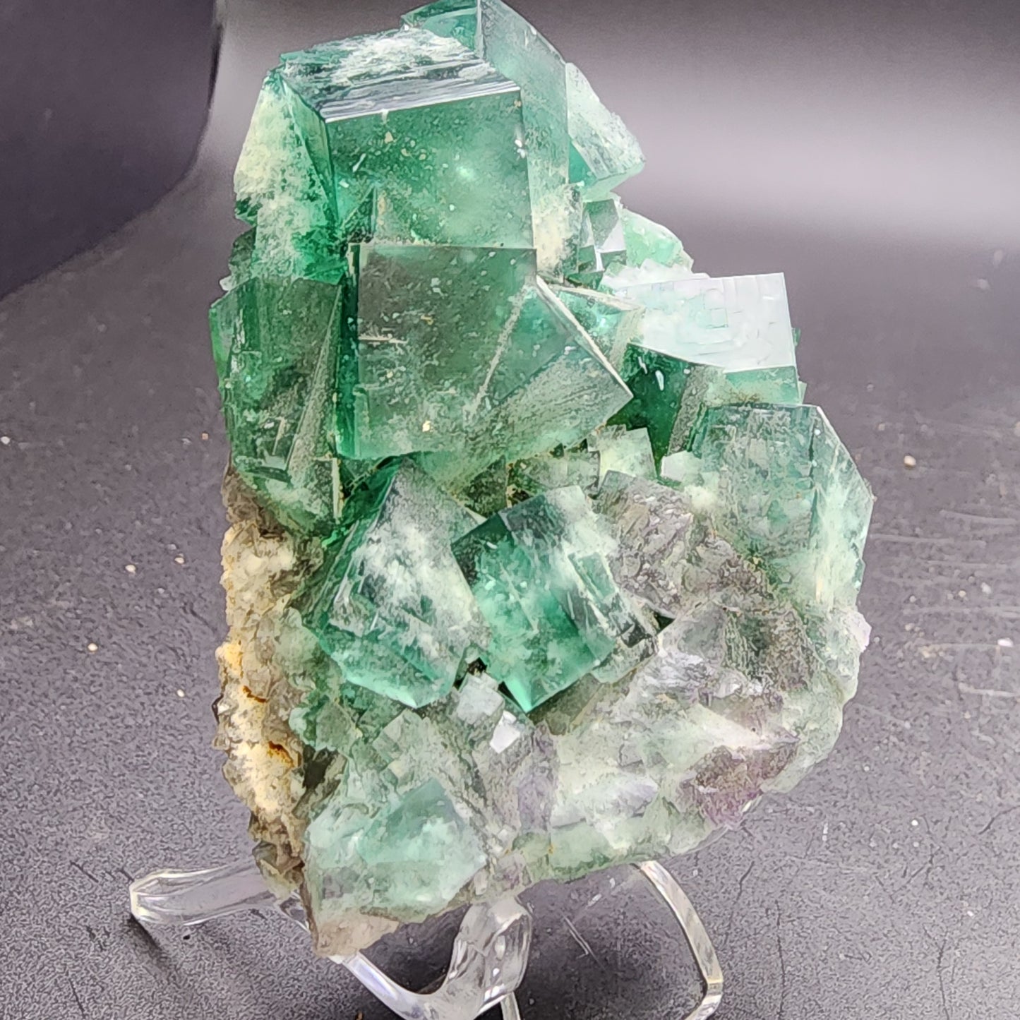 A large cluster of vibrant green cubic fluorite crystals from the Greedy Hog pocket in the Diana Maria Mine, Co Durham, UK, rests atop a rocky matrix. The multifaceted, translucent crystals reflect light against a dark background, creating a captivating display on its clear stand. This stunning piece is part of The Crystalary collection and is available under SKU 3063.