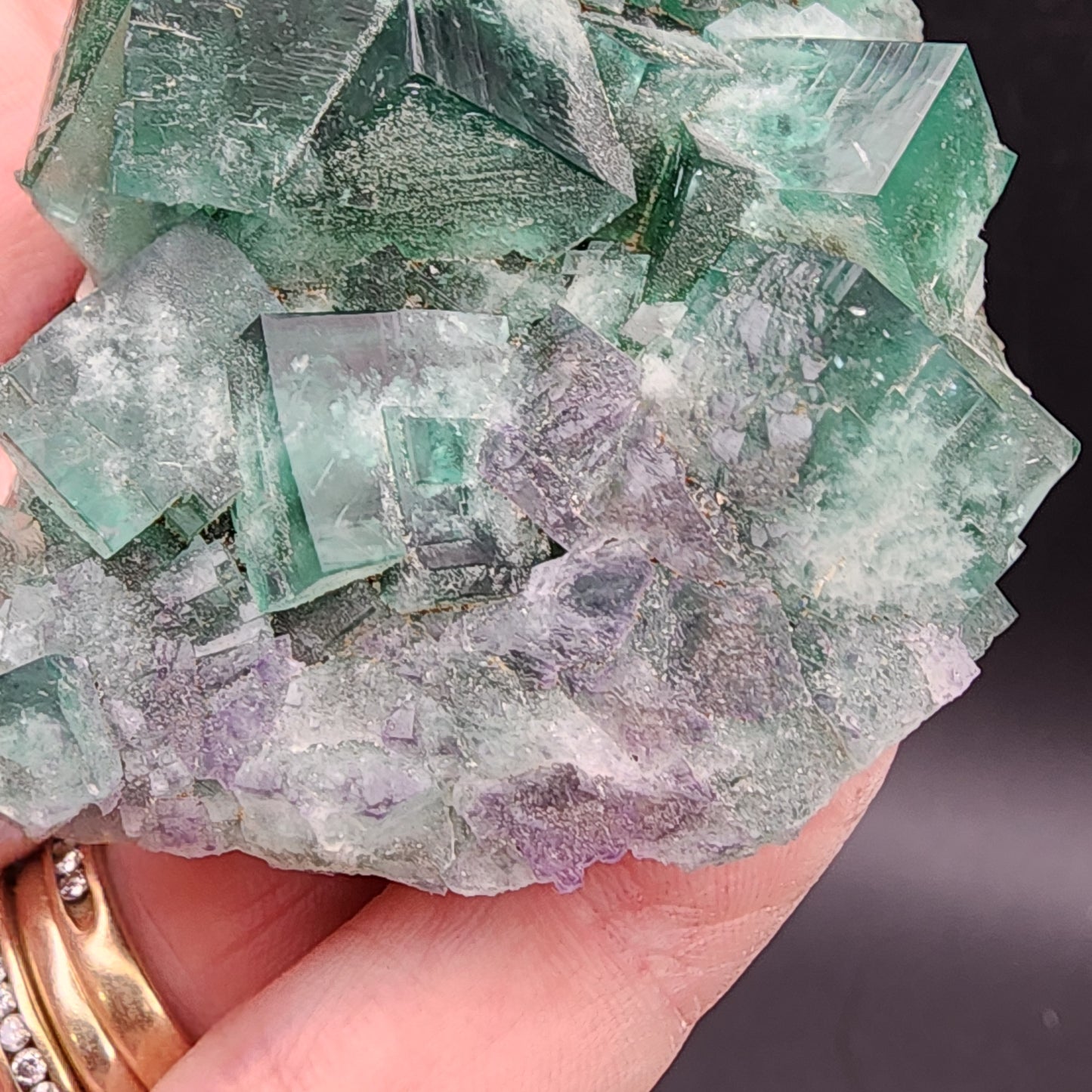 A hand displays a cluster of translucent green and purple fluorite crystals, specifically from the Greedy Hog pocket in the renowned Diana Maria Mine, Co Durham, UK. These crystals, offered by The Crystalary and identifiable by sku 3063, feature distinct cubic shapes and a glossy finish. Meanwhile, the person wearing two gold rings marvels at their beauty.