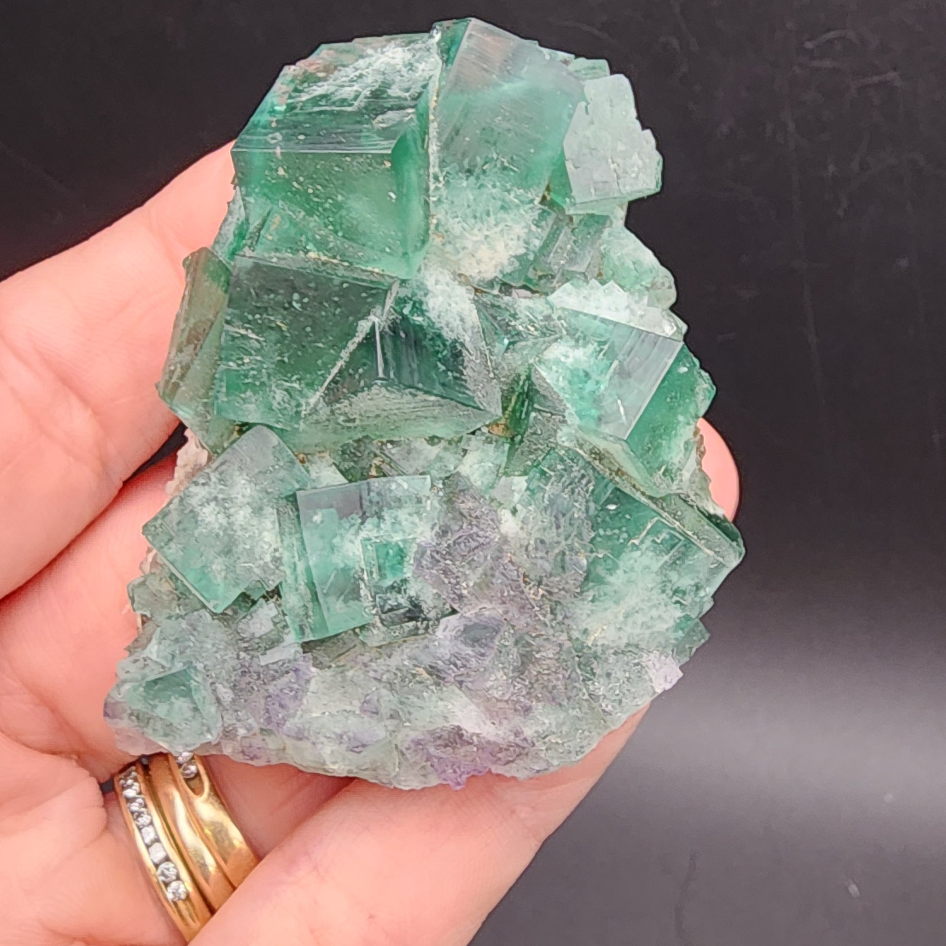 A hand holding a cluster of cubic green fluorite crystals from the Diana Maria Mine's Greedy Hog pocket, Co Durham, UK, presented against a black background. The translucent crystals exhibit a range of green hues, while the hand sports two gold rings that enhance its elegance. This exquisite piece is available from The Crystalary under SKU 3063.