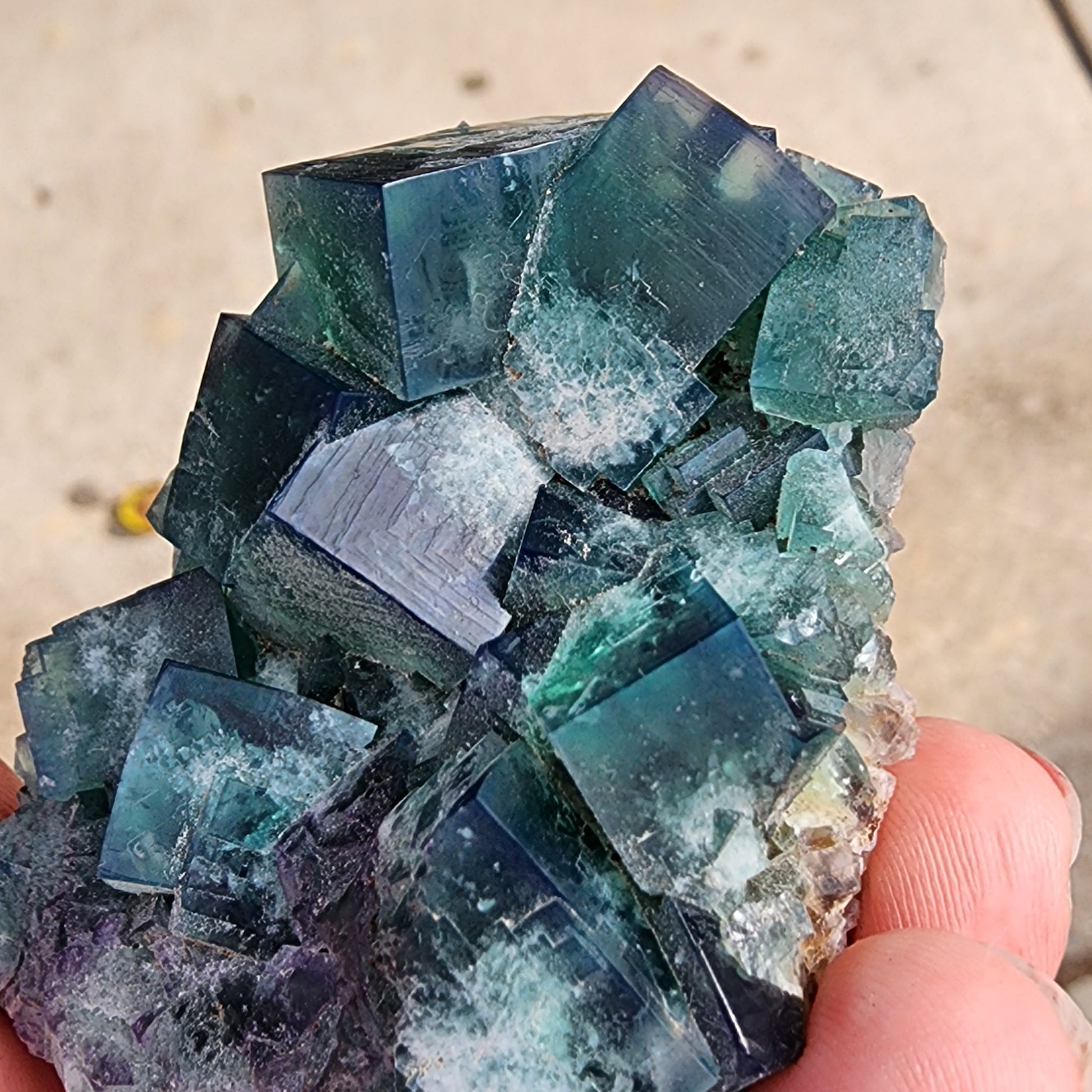 Close-up of a hand holding a cluster of cubic Fluorite - Greedy Hog Pocket crystals sourced from the Diana Maria Mine in Co Durham, UK. The crystals from The Crystalary exhibit shades of blue and green with some white mineral deposits on their surfaces against a blurred concrete background. SKU 3063.