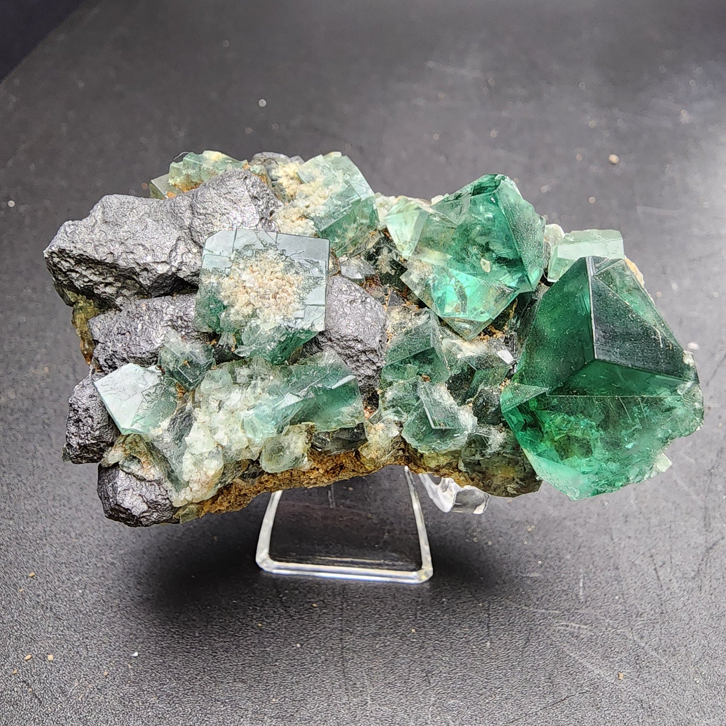 A collection of vibrant green fluorite crystals with cubic formations from the well-known Greedy Hog Pocket at the Diana Maria Mine, Co Durham, UK, sits on a black mineral matrix. These translucent and size-varied crystals are elegantly displayed on a small stand against a dark gray background. This exquisite piece is available under SKU 3062 from The Crystalary.