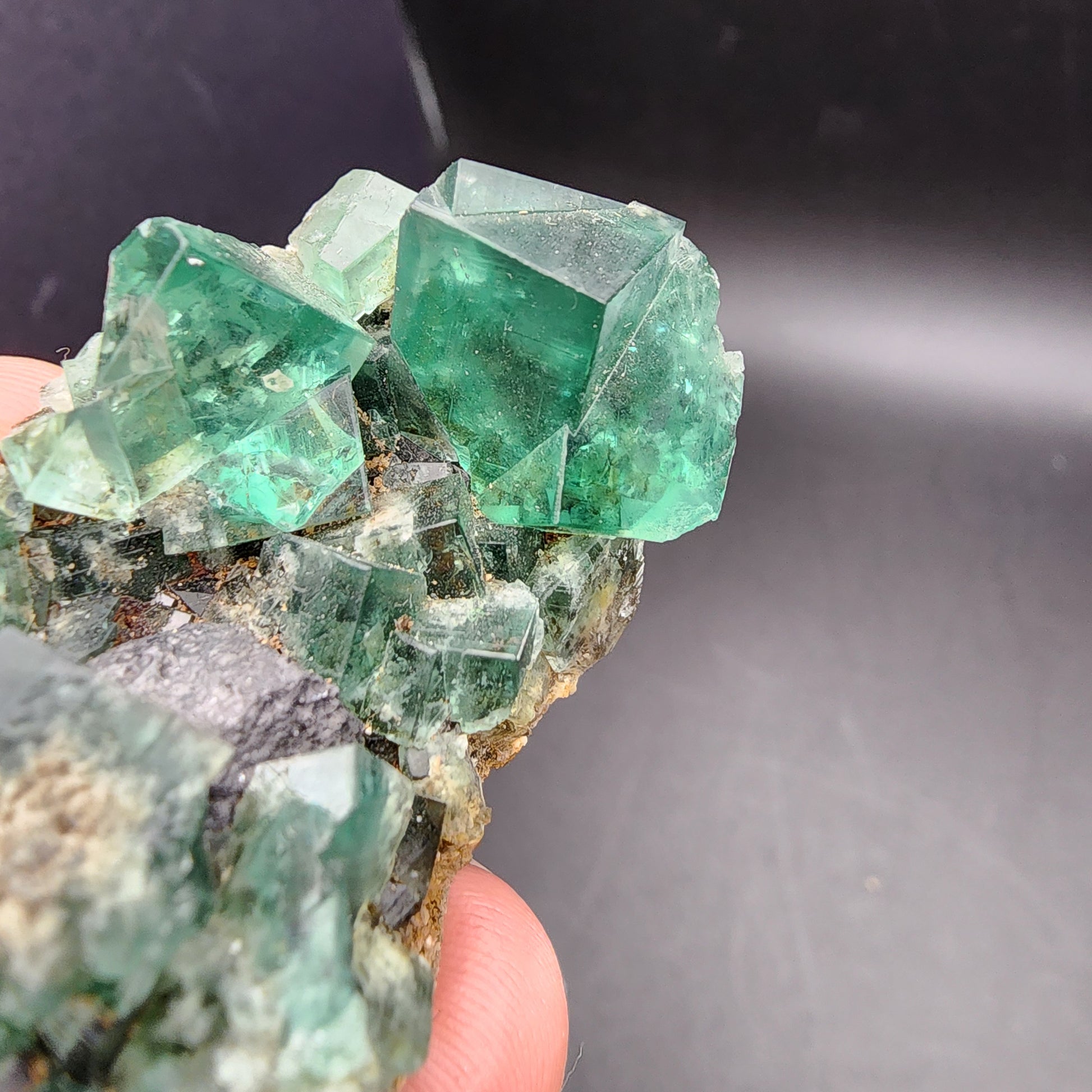 A close-up image showcases a hand holding a cluster of translucent green Fluorite crystals, distinguished by their sharp edges. This stunning specimen, sourced from The Crystalary's Greedy Hog Pocket collection at the Diana Maria Mine in Co Durham, UK (sku 3062), is set against a solid dark background that accentuates its vibrant color and remarkable geometric formations.