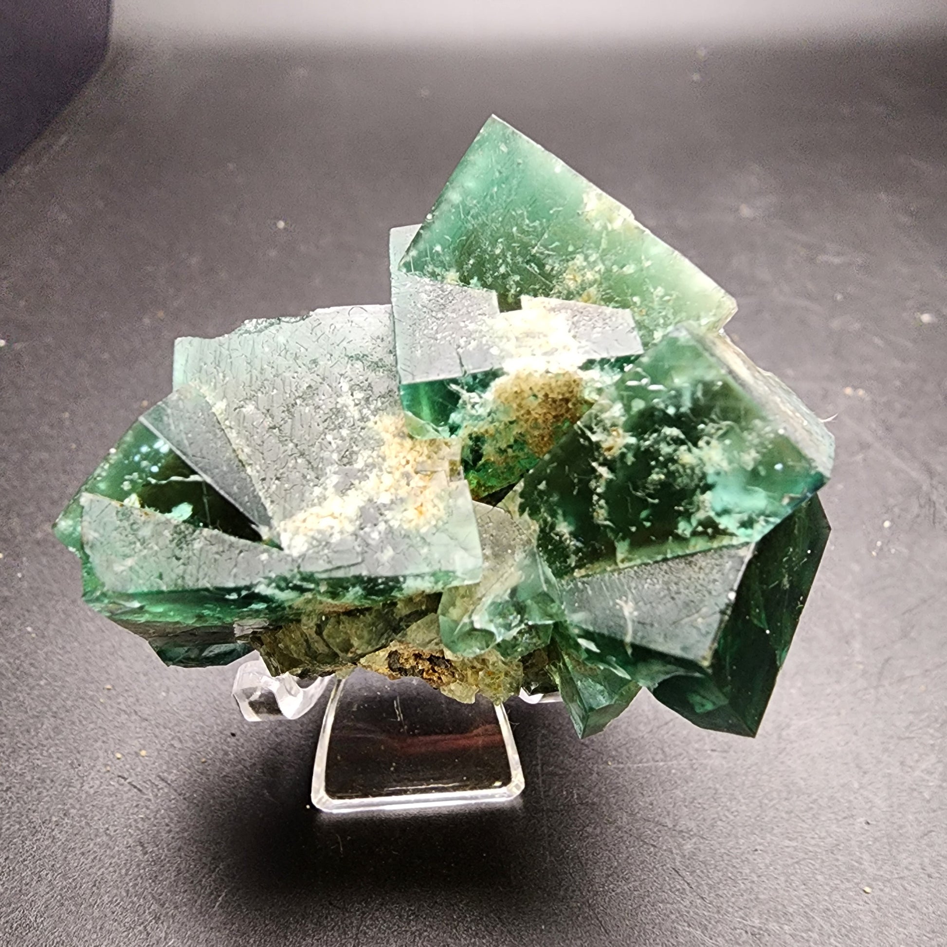 A stunning piece from The Crystalary, the Fluorite - Greedy Hog pocket (sku 3061) originating from the Diana Maria Mine in Co Durham, UK, is elegantly displayed on a small stand. This cluster of sharp geometric green fluorite crystals boasts a translucent appearance with gorgeous white and beige mineral inclusions set against a dark background.