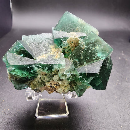 A striking arrangement of vivid green fluorite crystals from The Crystalary's Greedy Hog pocket at the Diana Maria Mine, Co Durham, UK (sku 3061), features sharp edges and a translucent appearance on a clear stand. These cubic structures, adorned with captivating mineral inclusions, are elegantly displayed against a dark background.