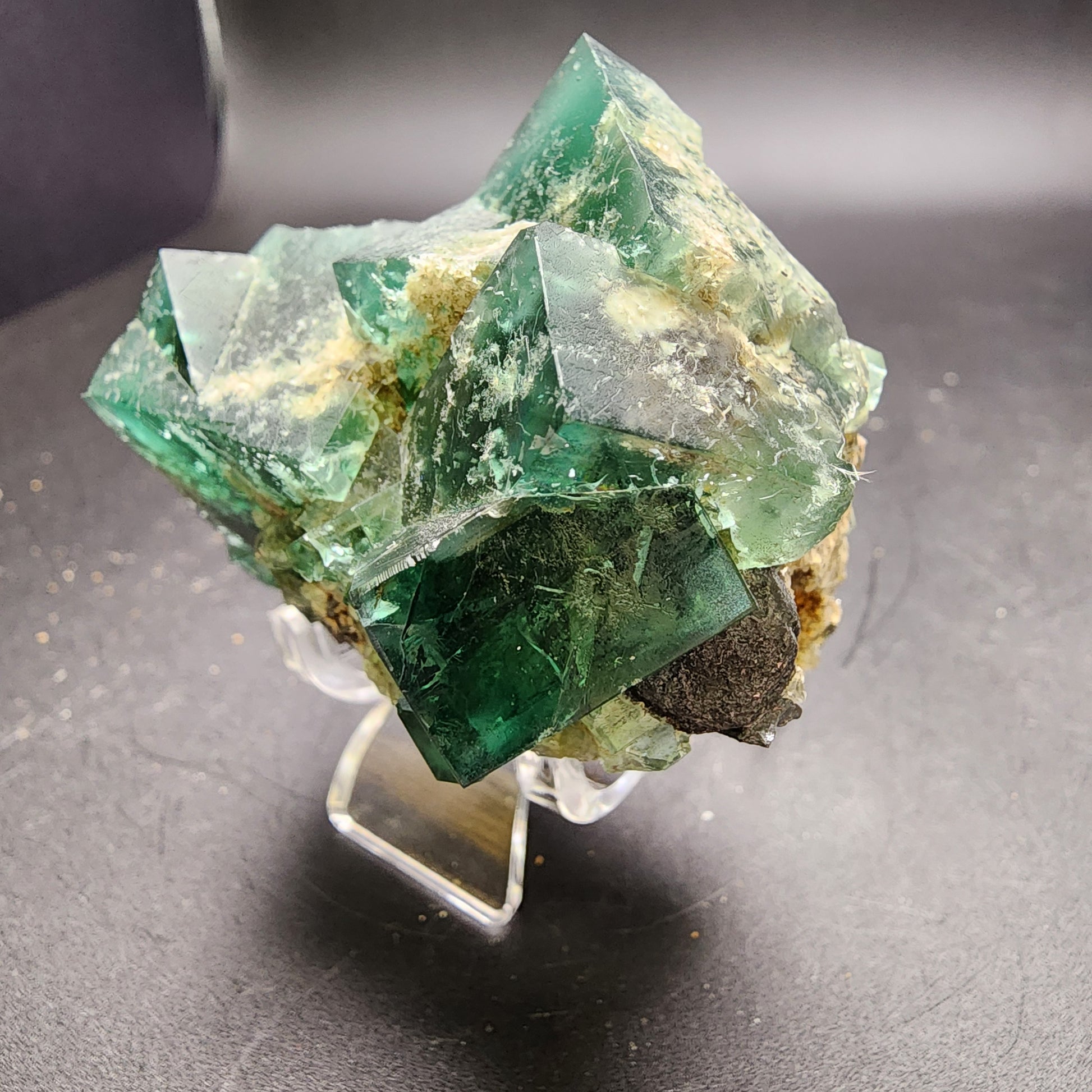 A collection of vibrant green fluorite crystals from the Greedy Hog pocket at the Diana Maria Mine in Co Durham, UK (sku 3061), showcased by The Crystalary, features cubic formations elegantly displayed on a transparent stand. These striking crystals are interspersed with earthy brown mineral deposits and set against a soft black background.