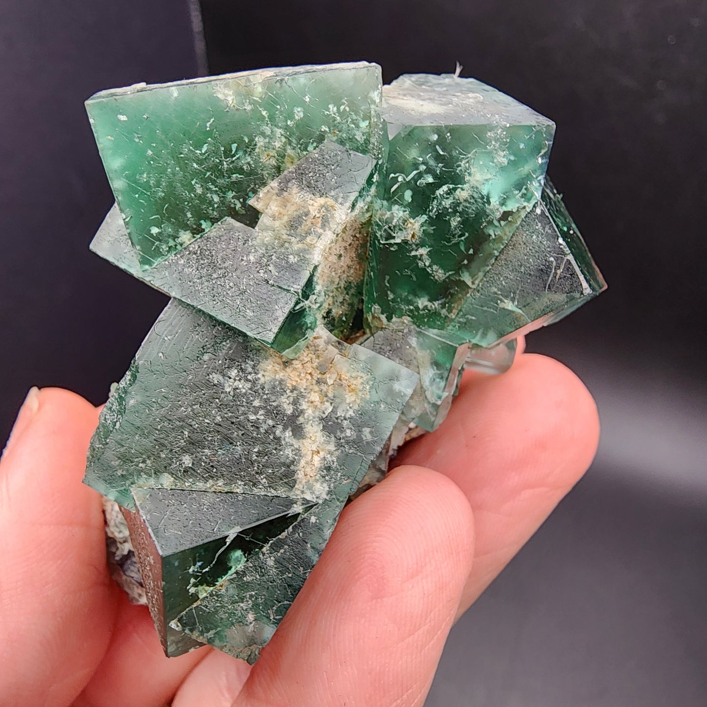 A close-up features a hand holding a cluster of Fluorite-Greedy Hog crystals from the Diana Maria Mine in Co Durham, UK. Offered by The Crystalary (SKU 3061), these green crystals are celebrated for their cubic structure and rough, textured surfaces, beautifully contrasting against a dark background.