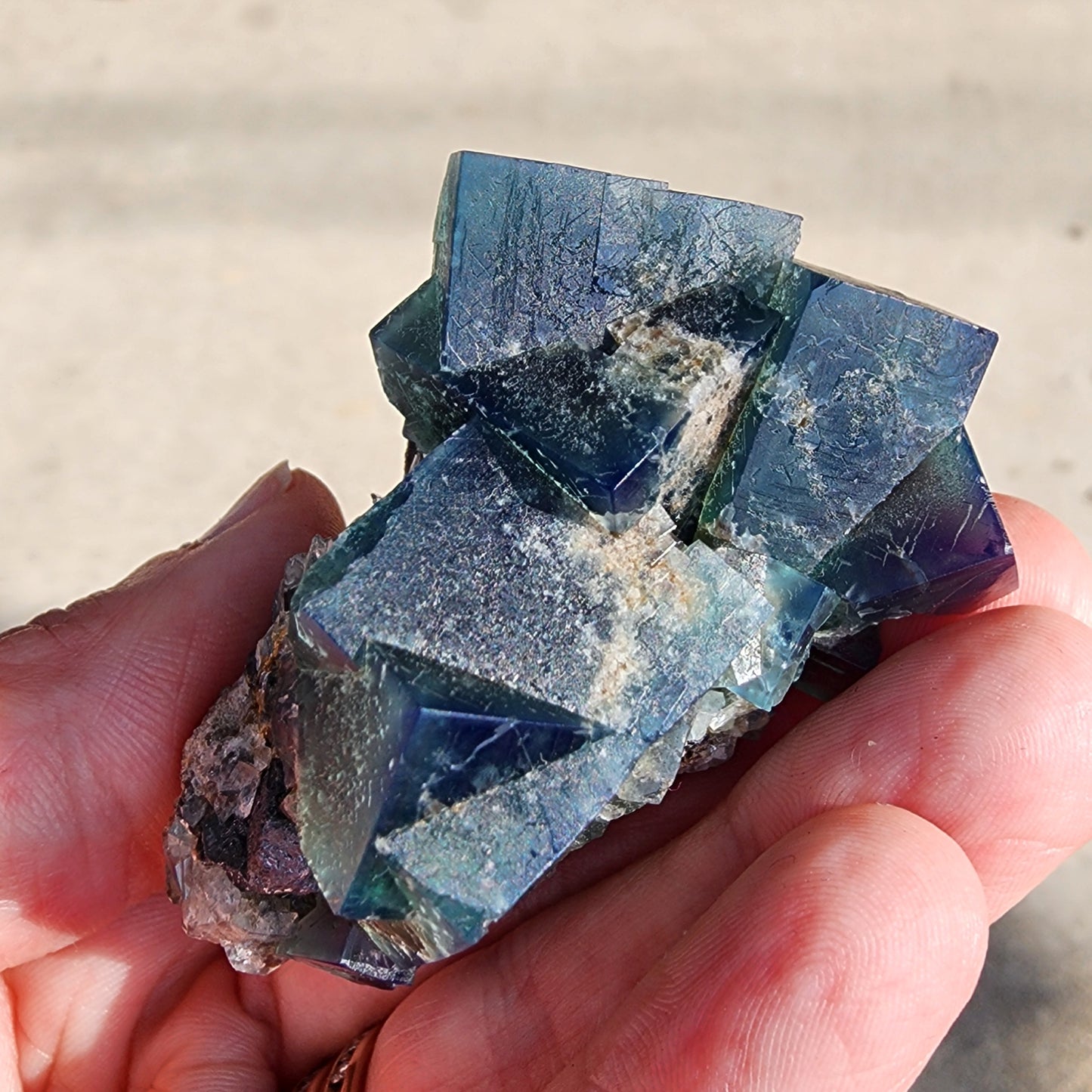 A hand cradles a cluster of deep blue and green fluorite crystals from The Crystalary, specifically the Greedy Hog pocket at the Diana Maria Mine in Co Durham, UK. These translucent cubic forms shimmer with natural textures on their surface, showcasing the exquisite beauty of product sku 3061. The background fades into a gentle blur of neutral tones, highlighting nature's artistry.