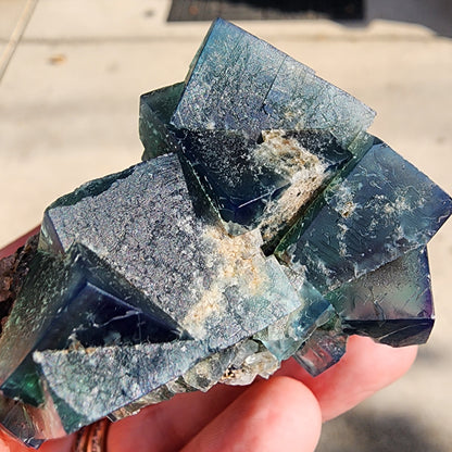 A hand gently holds a cluster of deep blue and purple fluorite crystals from the renowned Greedy Hog pocket of the Diana Maria Mine, proudly presented by The Crystalary. Each crystal boasts a geometric form with slightly rough surfaces, beautifully contrasted against a blurred background that highlights this vibrant mineral specimen.