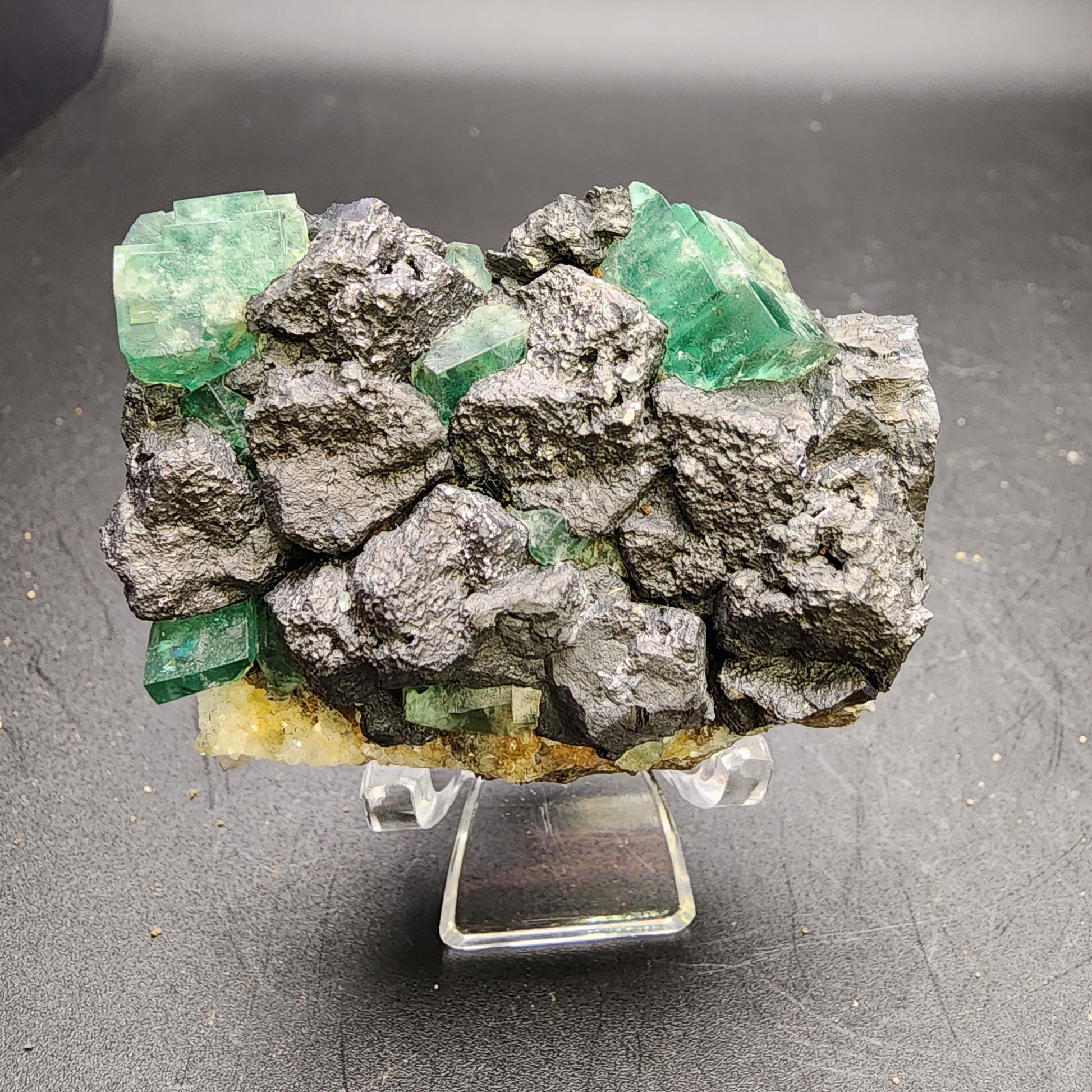 The Crystalary's Fluorite and Galena from the Northern Lights Pocket at the Diana Maria Mine, Co Durham, UK (sku 3060), features vibrant green cubic fluorite crystals set against dark, textured galena rocks. It's elegantly presented on a clear display stand with a black background.