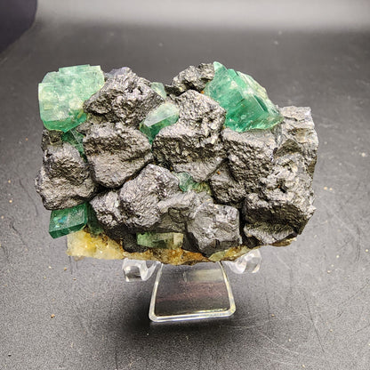 The Crystalary's Fluorite and Galena from the Northern Lights Pocket at the Diana Maria Mine, Co Durham, UK (sku 3060), features vibrant green cubic fluorite crystals set against dark, textured galena rocks. It's elegantly presented on a clear display stand with a black background.