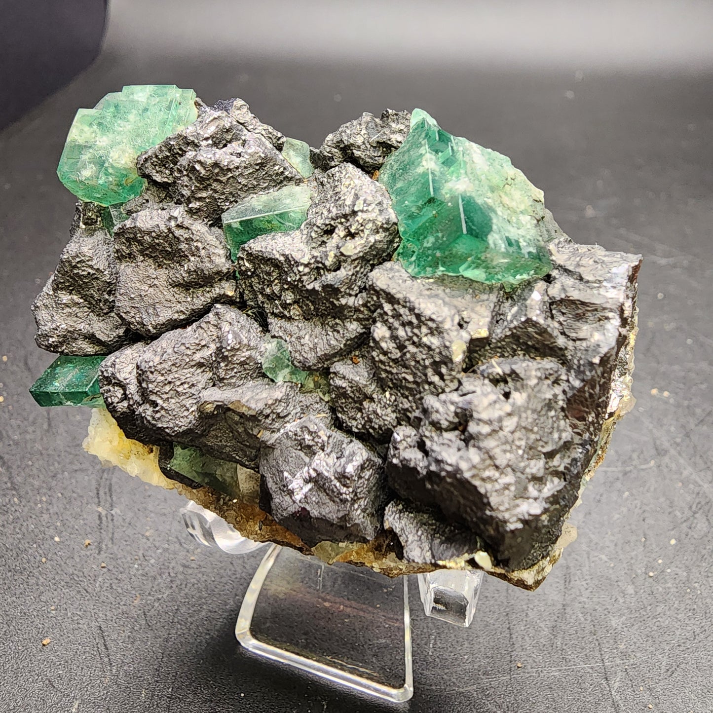 An exquisite piece from The Crystalary, the Fluorite and Galena specimen (Northern Lights Pocket, Diana Maria Mine, Co Durham, UK, sku 3060) showcases lustrous green fluorite cubes resting atop a matrix of black galena crystals. It is elegantly displayed on a clear stand against a dark gray background.