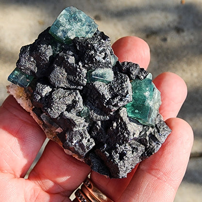 A hand holding a fluorite and galena cluster from the Northern Lights Pocket, Diana Maria Mine by The Crystalary, set against a blurred background.