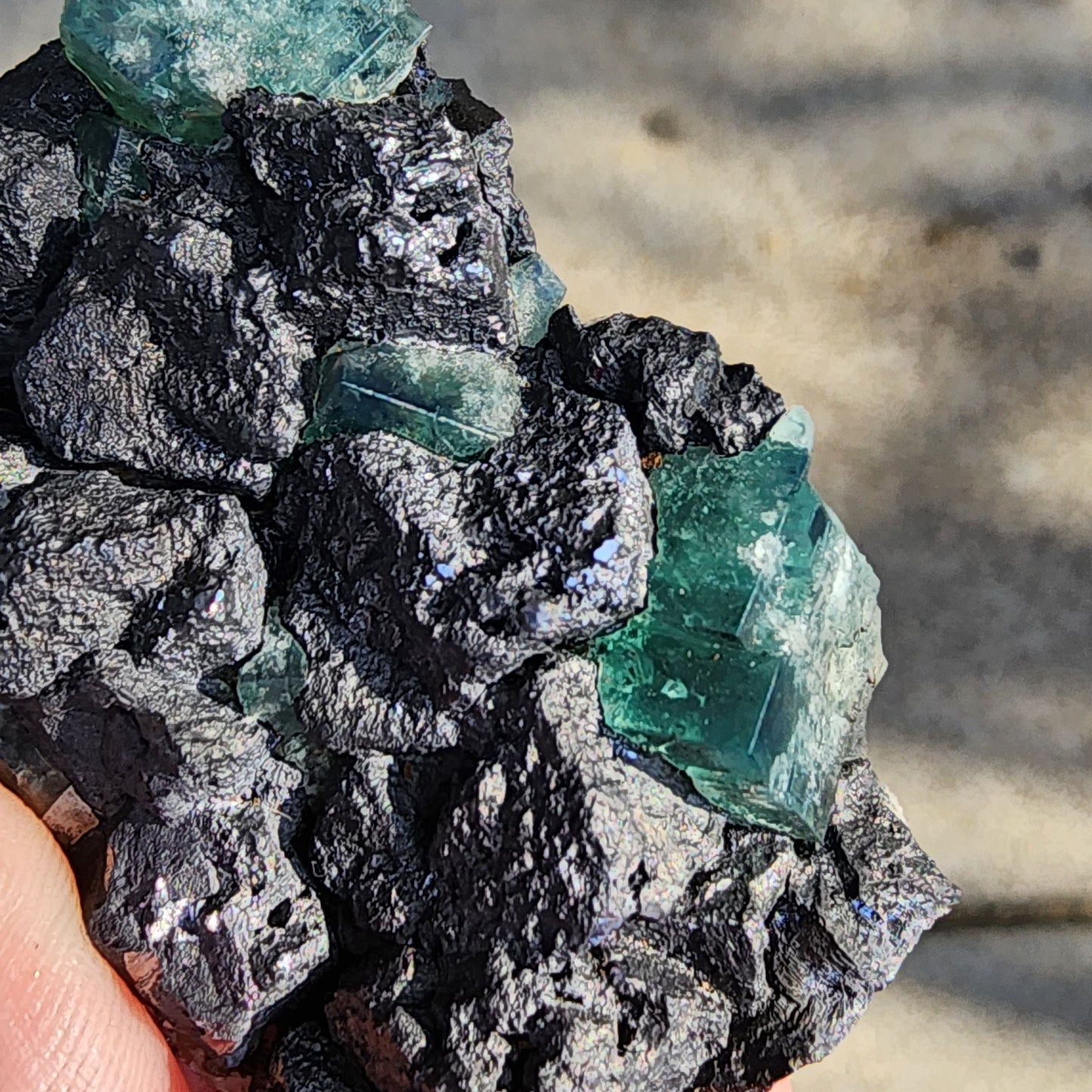 A close-up shows a hand holding a piece of the Fluorite and Galena from The Crystalary, sourced from the Northern Lights Pocket in the Diana Maria Mine, Co Durham, UK. Sunlight emphasizes the intricate textures and contrasts of the black mineral rock embedded with green crystals.