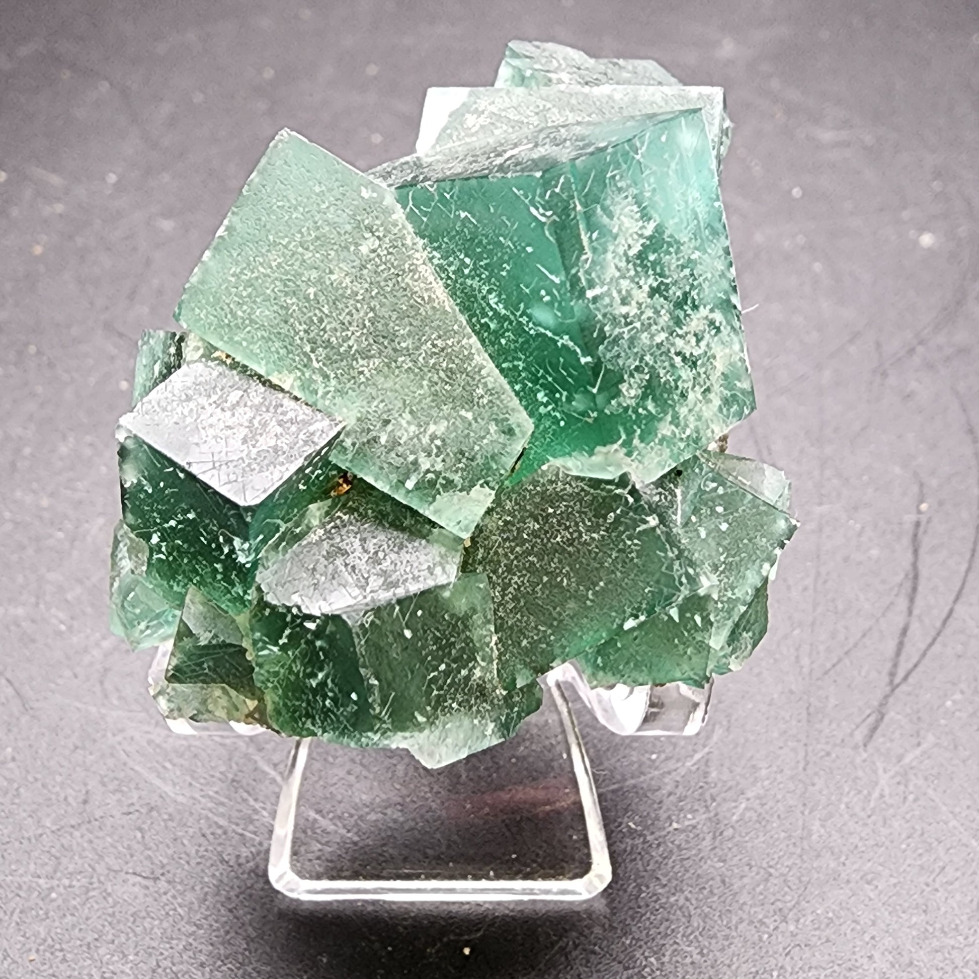 A collection of translucent green fluorite crystals from The Crystalary, sourced from the Greedy Hog pocket at the Diana Maria Mine in Co Durham, UK (sku 3059), is elegantly displayed on a clear stand against a dark background, showcasing their natural formations and surfaces.