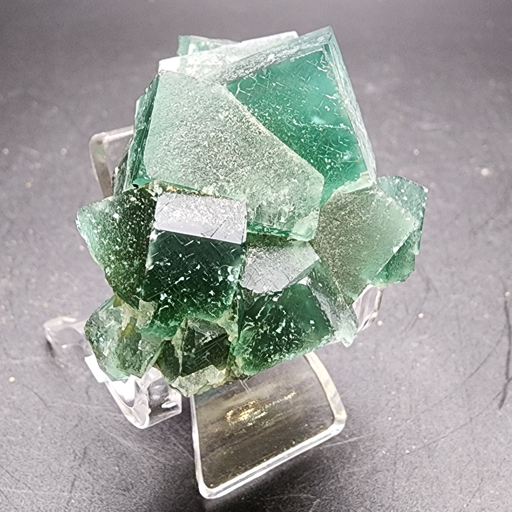 A cluster of Fluorite crystals from the Greedy Hog pocket in the Diana Maria Mine, Co Durham, UK, displays translucent square faces and rests on a clear stand against a dark background. These vibrant specimens from The Crystalary exhibit a glassy appearance with varying shades of green. (SKU 3059)