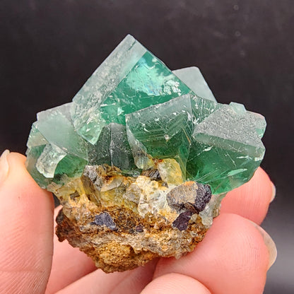 A hand holds a vibrant green fluorite cluster from The Crystalary, featuring sharp, translucent cubic crystals perched on a brown rocky base. This stunning piece is known as the Fluorite - Greedy Hog Pocket from the Diana Maria Mine in Co Durham, UK (SKU 3059), and is set against a dark background.