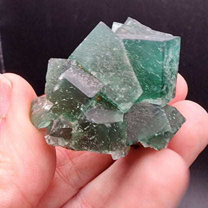 A hand holds a cluster of green cubic crystals, recognized as the Fluorite from The Crystalary's Greedy Hog pocket at the Diana Maria Mine in Co Durham, UK (SKU 3059). With their rough texture and varying transparency, these crystals stand out against the solid dark background, highlighting their unique structure and captivating color.