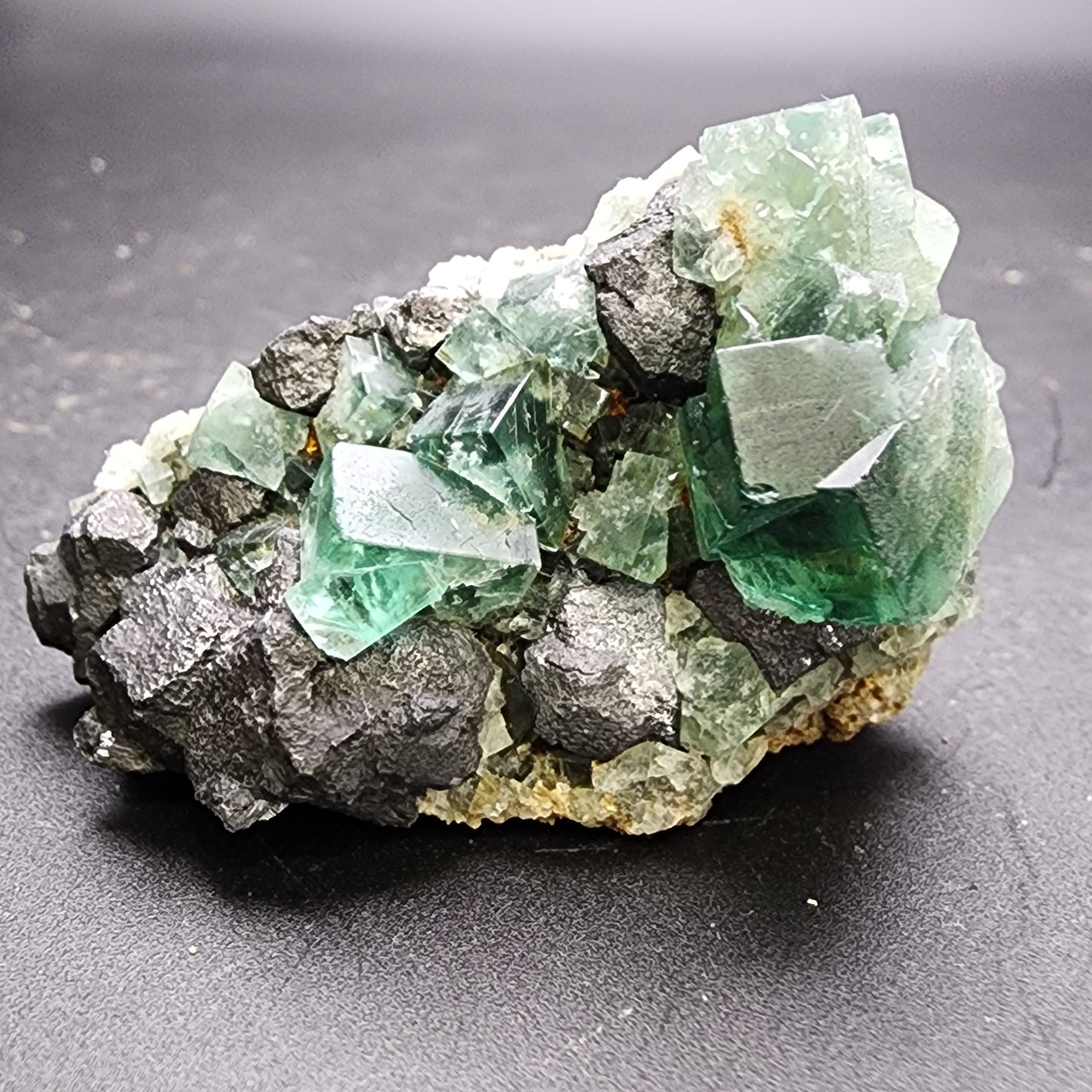 A collection of green fluorite crystals from Greedy Hog Pocket, part of the Diana Maria Mine in Co Durham, UK (SKU 3058), features metallic gray galena and is elegantly positioned on a rock against a gradient gray background. These crystals from The Crystalary display both translucent and opaque facets.