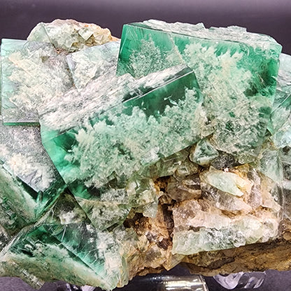 Fluorite- Fluorite- Toxic Apple Pocket, Poison Ivy, Lady Annabella Mine, Eastgate, Weardale, Co Durham, UK, sku3873