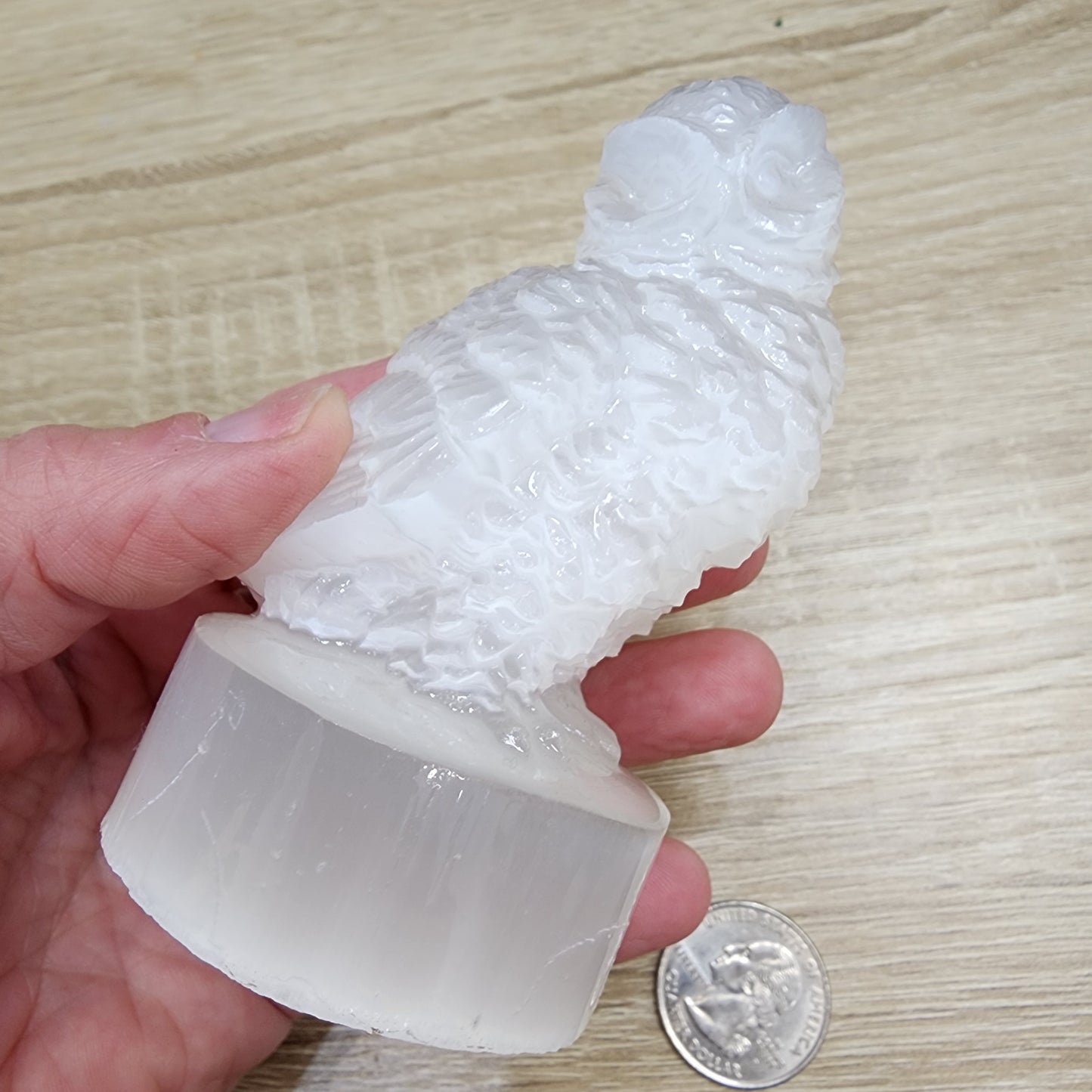 A hand delicately holds a small, white selenite owl figurine, intricately carved and perched on a round base. Its translucent beauty is highlighted by the nearby quarter, offering a perfect size reference. This exquisite piece is part of The Crystalary's LIVE - Chaos Supervisor collection, available from 11/7/2024.