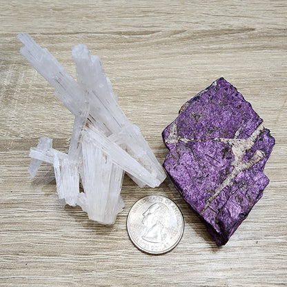 Next to a rough piece of vivid purpurite, the LIVE- PrincessPelvis- 11/14/24 from The Crystalary is placed on a wooden surface. A U.S. quarter coin accompanies the display for size reference.