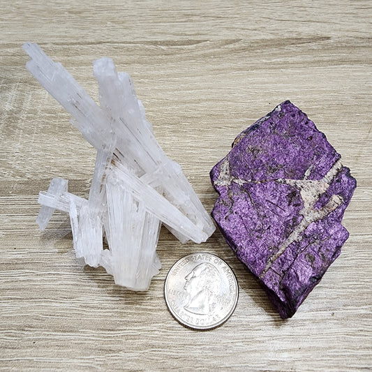 Next to a rough piece of vivid purpurite, the LIVE- PrincessPelvis- 11/14/24 from The Crystalary is placed on a wooden surface. A U.S. quarter coin accompanies the display for size reference.