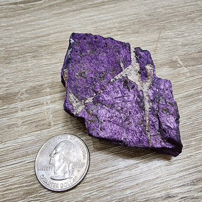 A rough piece of The Crystalary's LIVE- PrincessPelvis- 11/14/24, showcasing its striking purple charoite with white veins, rests on a wooden surface alongside a U.S. quarter for scale, its intricate patterns reminiscent of the stunning designs found in purpurite.