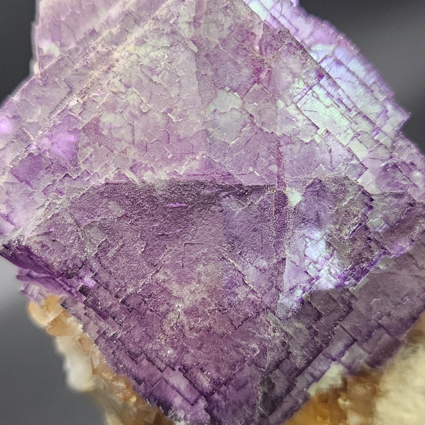 Close-up of a vibrant purple cubic crystal formation known as the Fluorite - Ice Cream Igloo Pocket from Bingham, Hansonburg District in Socorro County, New Mexico, USA. Offered by The Crystalary (sku 3259), the crystal's intricate layers and translucent quality are highlighted with subtle variations in purple hues and textures visible throughout.