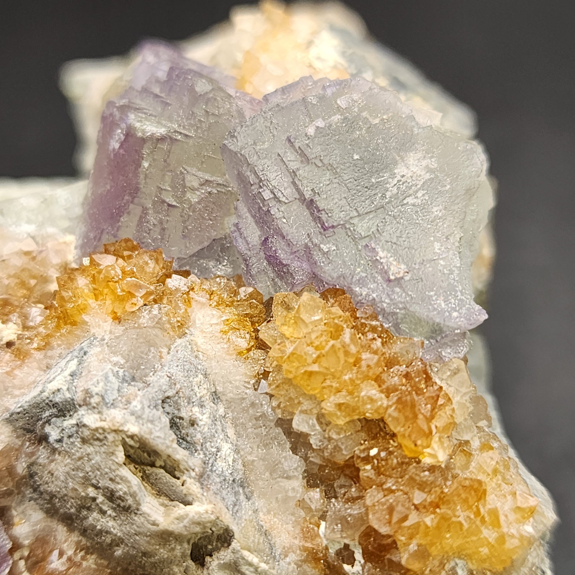 A close-up of *The Crystalary's Fluorite- Ice Cream Igloo Pocket* from Bingham, Hansonburg District in Socorro County, New Mexico (sku 3259) reveals purple cubic fluorite crystals intermingled with yellow, rough-textured calcite formations, reflecting New Mexico's rich mineralogical history. The out-of-focus background enhances the intricate textures and vibrant colors of this captivating specimen.