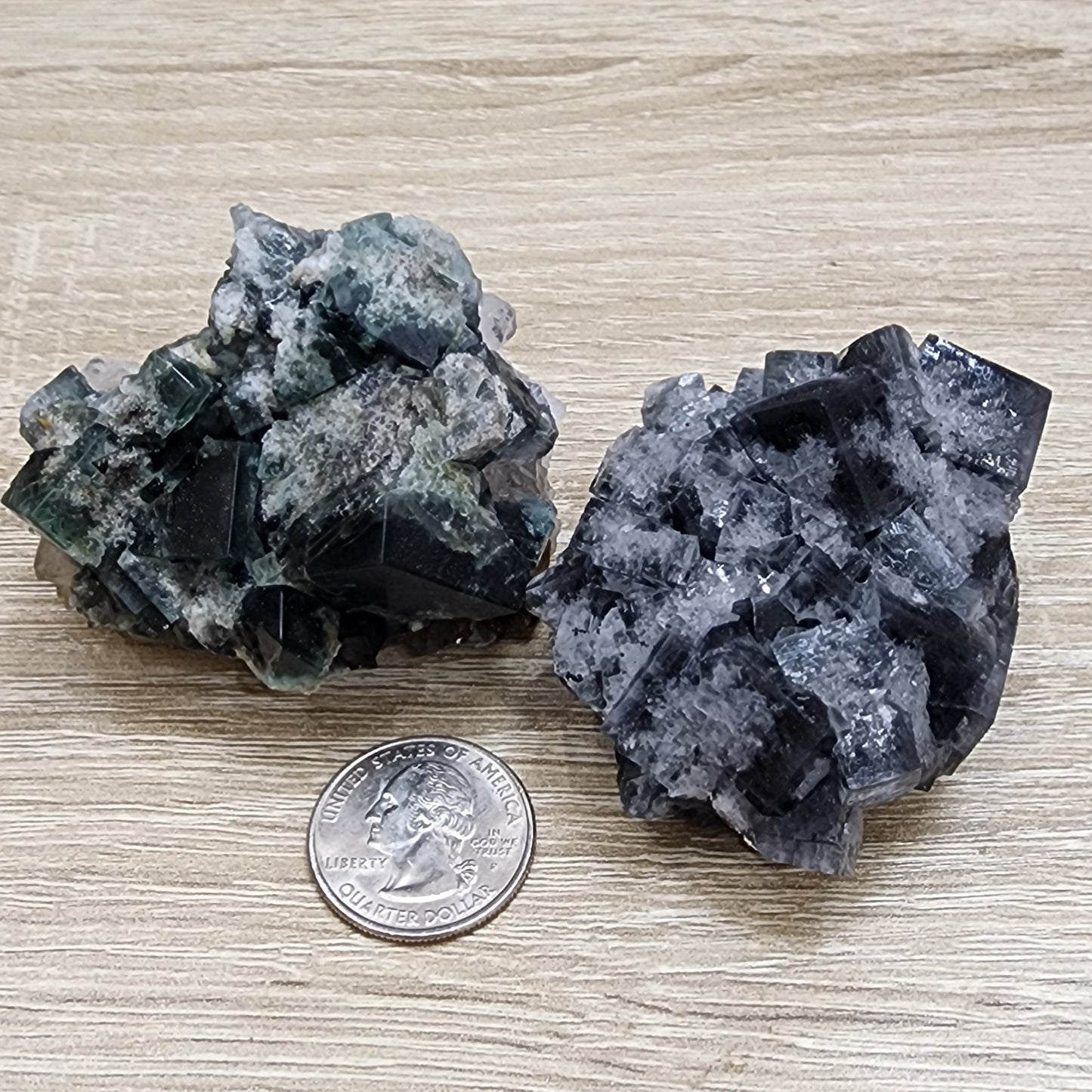 Two clusters of cubic crystals from The Crystalary's LIVE- SerenityShana- 11/15/2024 collection, one dark green and the other grayish-blue, are displayed on a wooden surface. A U.S. quarter coin is included for scale, emphasizing their moderate size and inviting wonder like stars in the Milky Way.