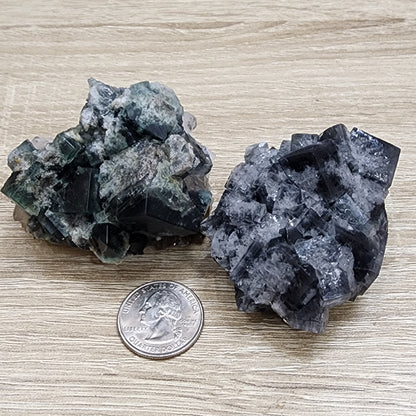 Two clusters of cubic crystals from The Crystalary's LIVE- SerenityShana- 11/15/2024 collection, one dark green and the other grayish-blue, are displayed on a wooden surface. A U.S. quarter coin is included for scale, emphasizing their moderate size and inviting wonder like stars in the Milky Way.