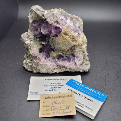 A substantial cluster of Purple Frech fluorite crystals with quartz rests on a rough stone base, accompanied by three labeled cards detailing mineral information and collection specifics from The Crystalary. Set against a dark background, this setting beautifully highlights the vibrant colors of this natural masterpiece.