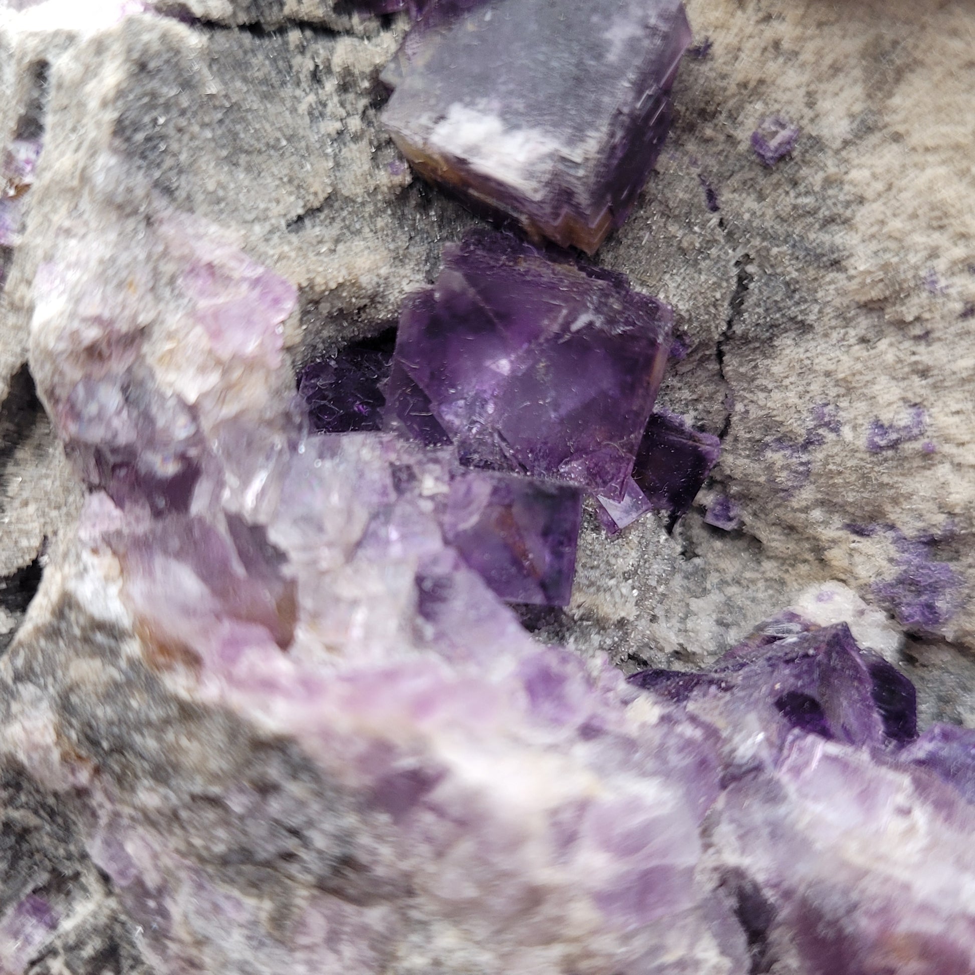 A detailed view of purple fluorite crystals set within a rugged gray matrix can be seen in this specimen. These transparent, cubic crystals feature a spectrum of purple shades, offering a stunning contrast against the textured background—a must-have for collectors inspired by The Crystalary's Fluorite with Quartz from Foisches, Givet, Charleville-Mezieres, Ardennes, Grand Est, France (SKU 3075).