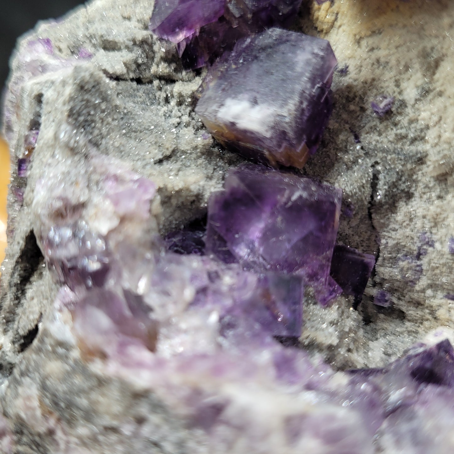 Close-up of purple fluorite crystals, similar to the Fluorite with Quartz from The Crystalary, nestled in a rough rock surface. These cubic crystals from Foisches, Givet, Charleville-Mezieres vary in size and feature reflective edges. The surrounding grayish rock exhibits a textured appearance reminiscent of exquisite finds from Fabre Minerals and Weinrich Minerals.