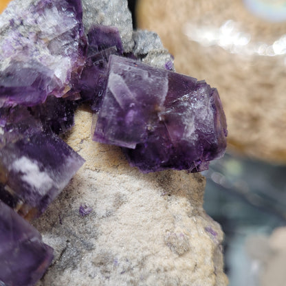 Close-up of a cluster of The Crystalary's Fluorite with Quartz from Foisches, Givet, Charleville-Mezieres, Ardennes, Grand Est, France. The purple fluorite crystals with square formations are partially embedded in a sandy, textured rock. Some areas exhibit a blend of white and clear crystal surfaces within this rough natural setting—a stunning specimen available under SKU 3075.