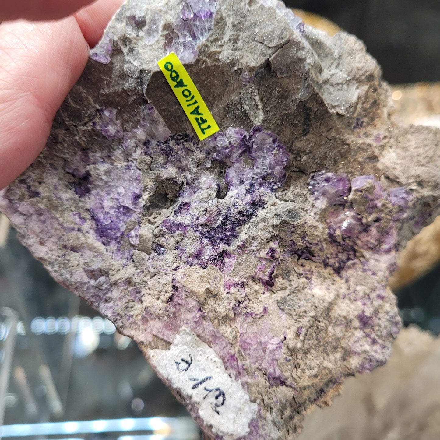 Close-up of a hand holding a rough rock embellished with rich purple fluorite crystalline formations from Foisches, Givet, Charleville-Mezieres, Ardennes, Grand Est, France. A small green label with black text is attached to the rock, possibly indicating it's the Fluorite with Quartz product from The Crystalary (sku 3075).