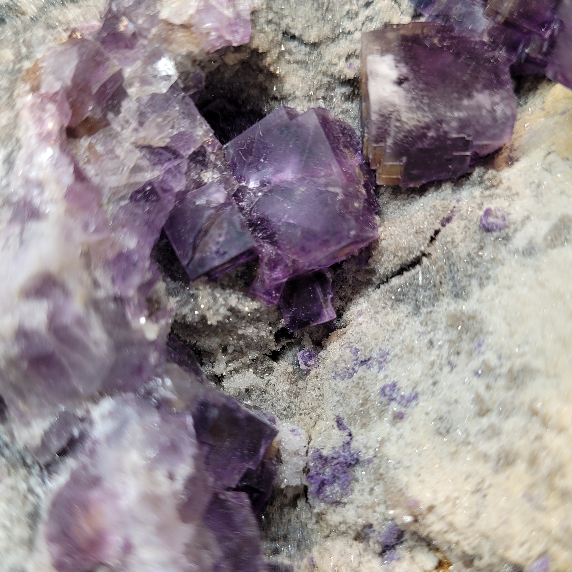 Close-up of translucent fluorite crystals from The Crystalary's "Fluorite with Quartz" collection, SKU 3075, showcasing cubic purple crystals nestled in a rocky, rough-textured mineral matrix. The vibrant color of the crystals varies in size and reflects light off their surfaces, reminiscent of specimens from renowned collections like Weinrich Minerals. This piece hails from Foisches, Givet, Charleville-Mezieres in Ardennes, Grand Est, France.