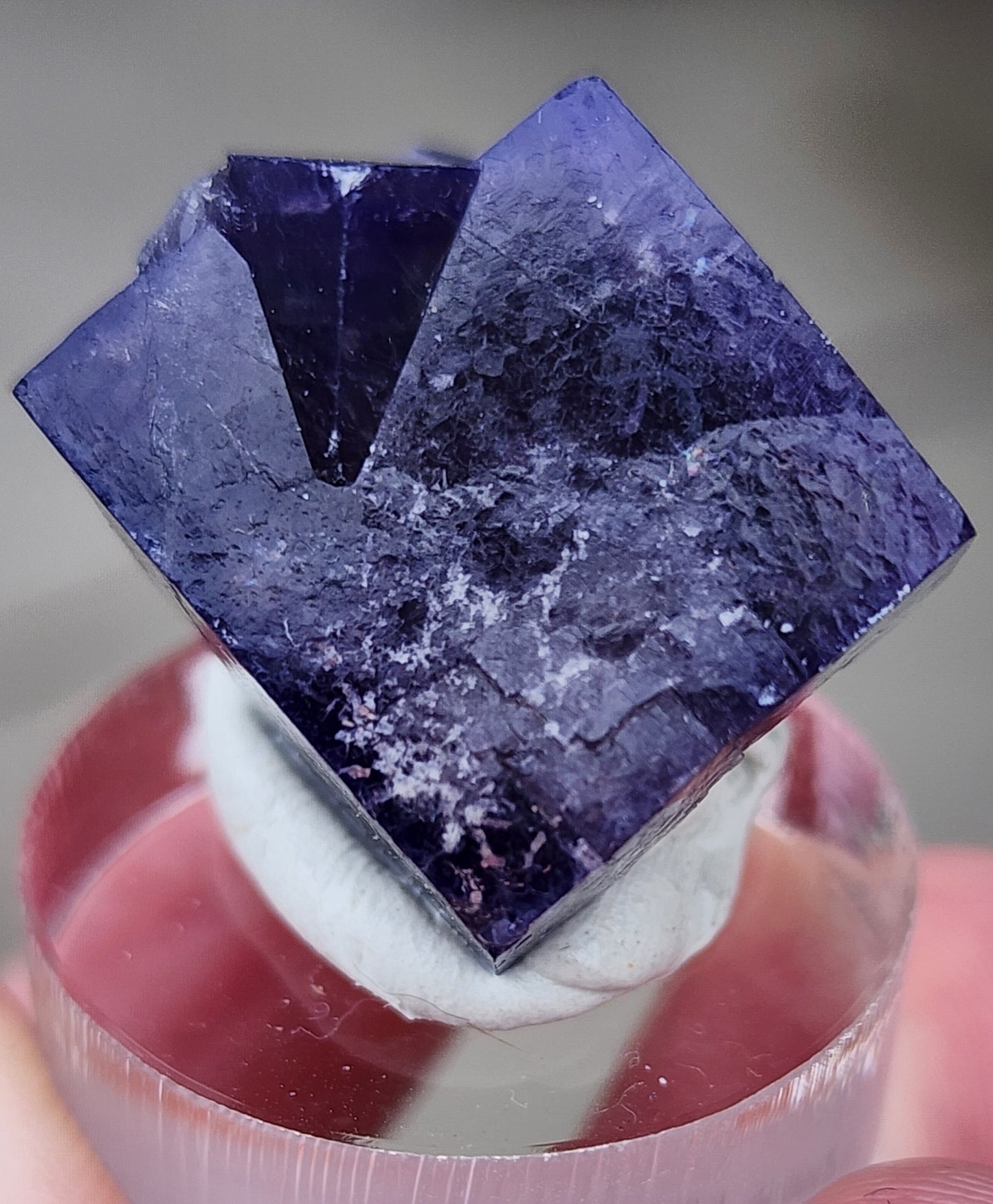 Close-up of a deep purple fluorite crystal, known as Fluorite- Yum Yum Pocket from the Diana Maria Mine, presented on a clear stand. This cubic mineral from The Crystalary features a textured pattern with lighter and darker shades, reflecting the intricate beauty of Weardale in its complex appearance.