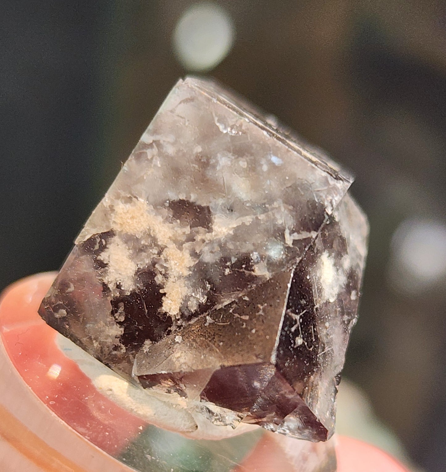 Close-up of a geometric mineral crystal, presumed to be the Fluorite-Yum Yum Pocket from The Crystalary, originating from the Diana Maria Mine in Weardale, Co Durham, UK (sku122). This translucent cubic crystal showcases natural imperfections and displays a brownish hue with white inclusions. The blurred background beautifully accentuates the captivating crystal.