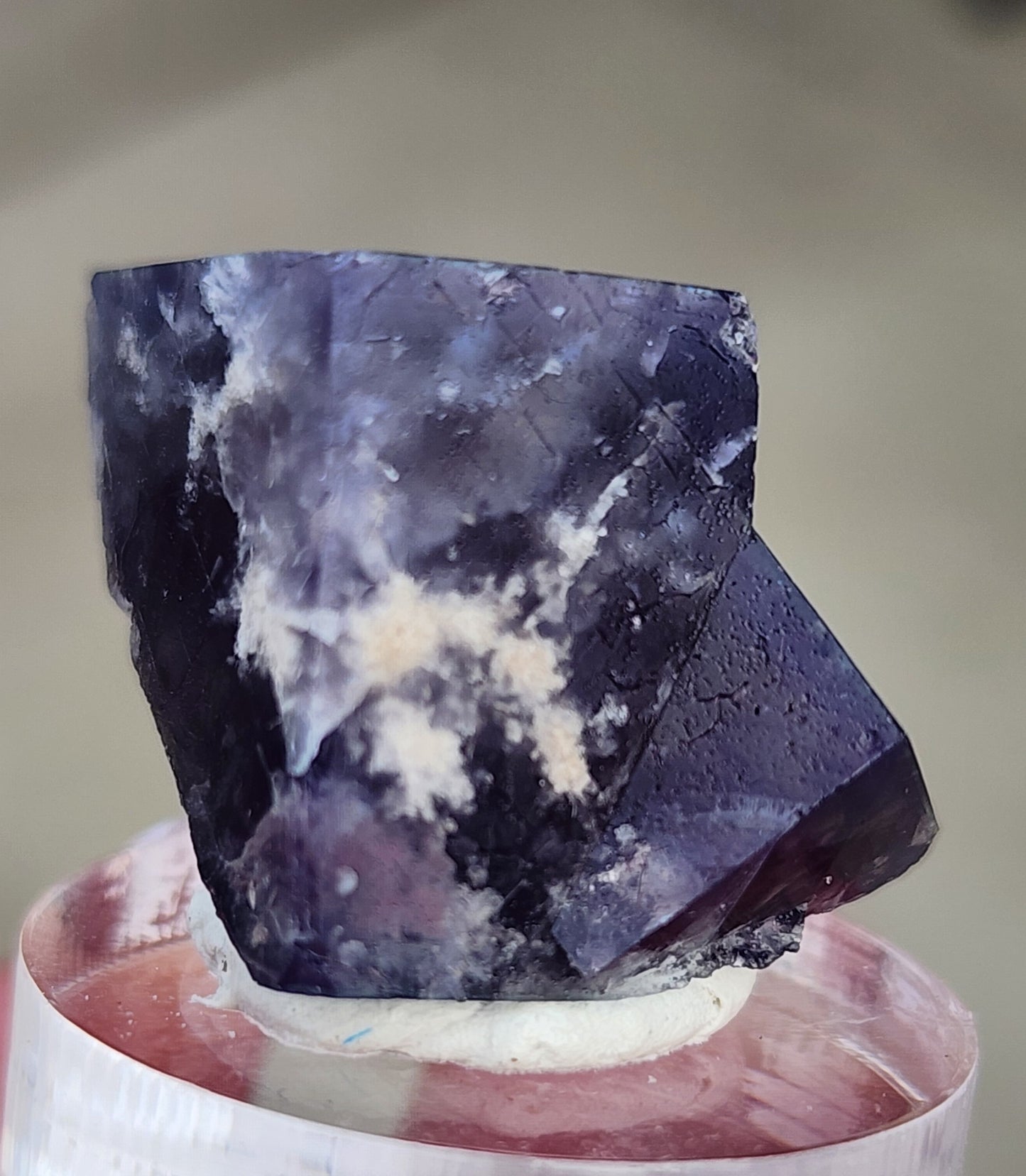 A detailed view of the Fluorite- Yum Yum Pocket from The Crystalary showcases a polished, deep purple crystal with white inclusions, elegantly presented on a small rounded stand. Sourced from the Diana Maria Mine in Weardale, Co Durham, UK (SKU: 122), its multifaceted surface brilliantly reflects light, highlighting its natural beauty and intricate details.