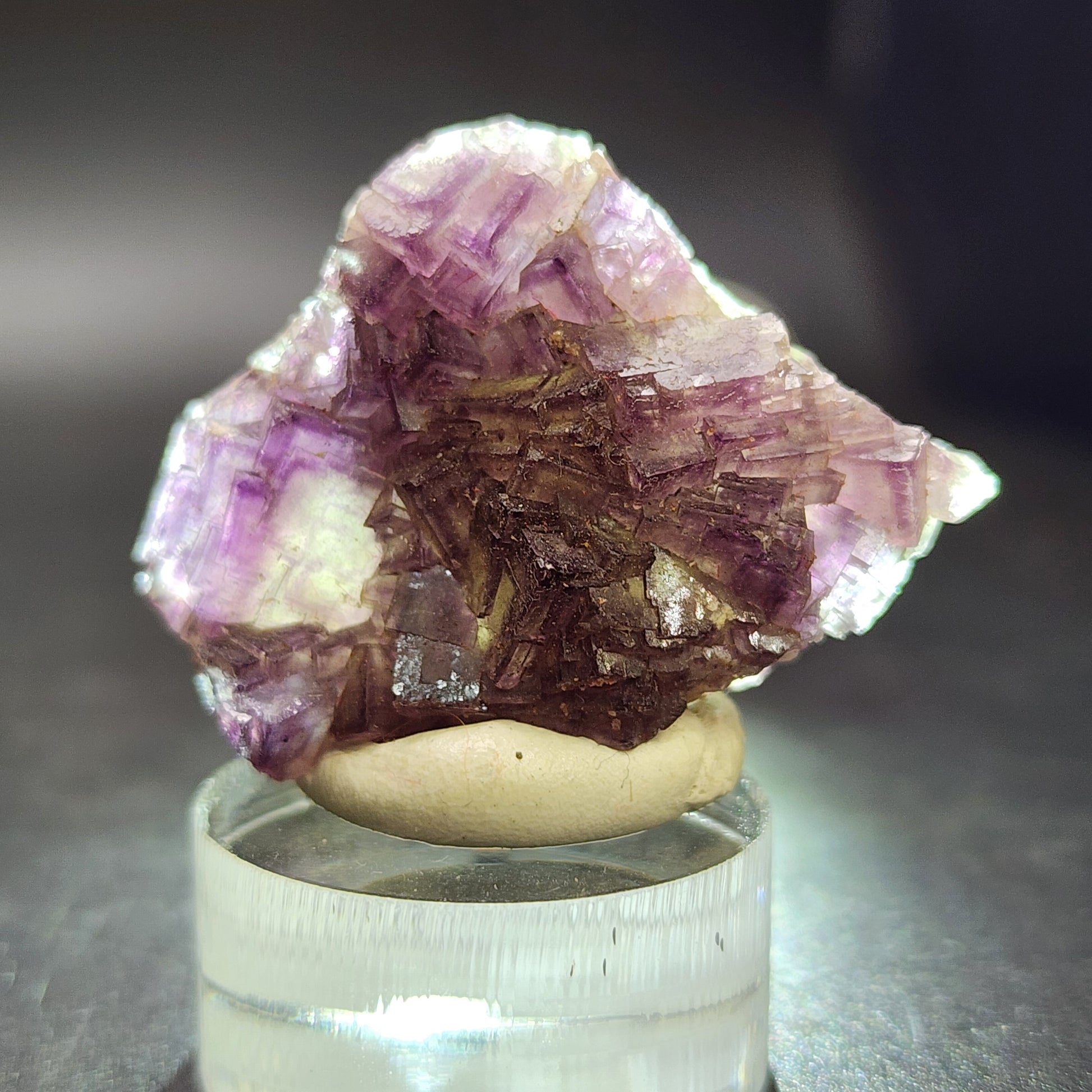 A close-up image showcases the Fluorite from Hermine Mine, Lissenthan, Nabburg, Schwandorf District, Upper Palatinate, Bavaria (SKU 3082) by The Crystalary. It features stunning purple and brown cubic crystals elegantly placed on a clear circular pedestal. Soft, diffused light highlights the textures and colors against a dark gray background.