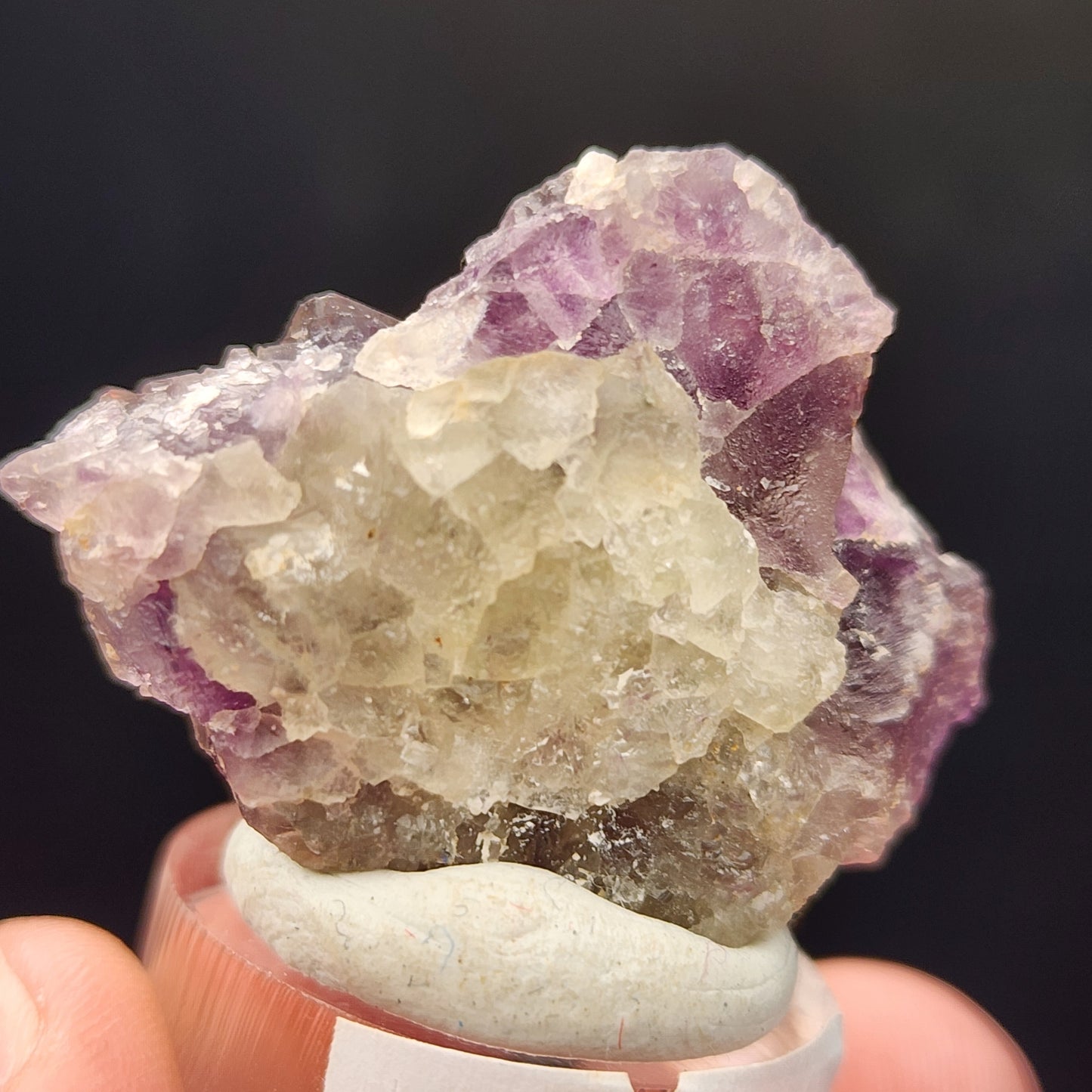 A close-up reveals a person's hand holding a cluster of Fluorite crystals from the Hermine Mine in Bavaria, reminiscent of traditional treasures found there. This specimen from The Crystalary displays elegant purple hues with cloudy white accents and rests gracefully on a circular base.