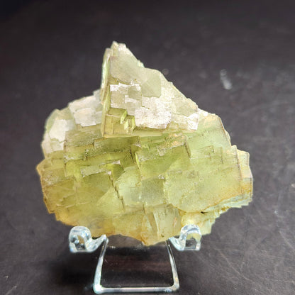 Displayed on a small clear stand against a dark background, this cluster of pale yellow, cube-like fluorite crystals from The Crystalary's Cäcilia Mine collection boasts a slightly translucent appearance with visible natural textures and edges.