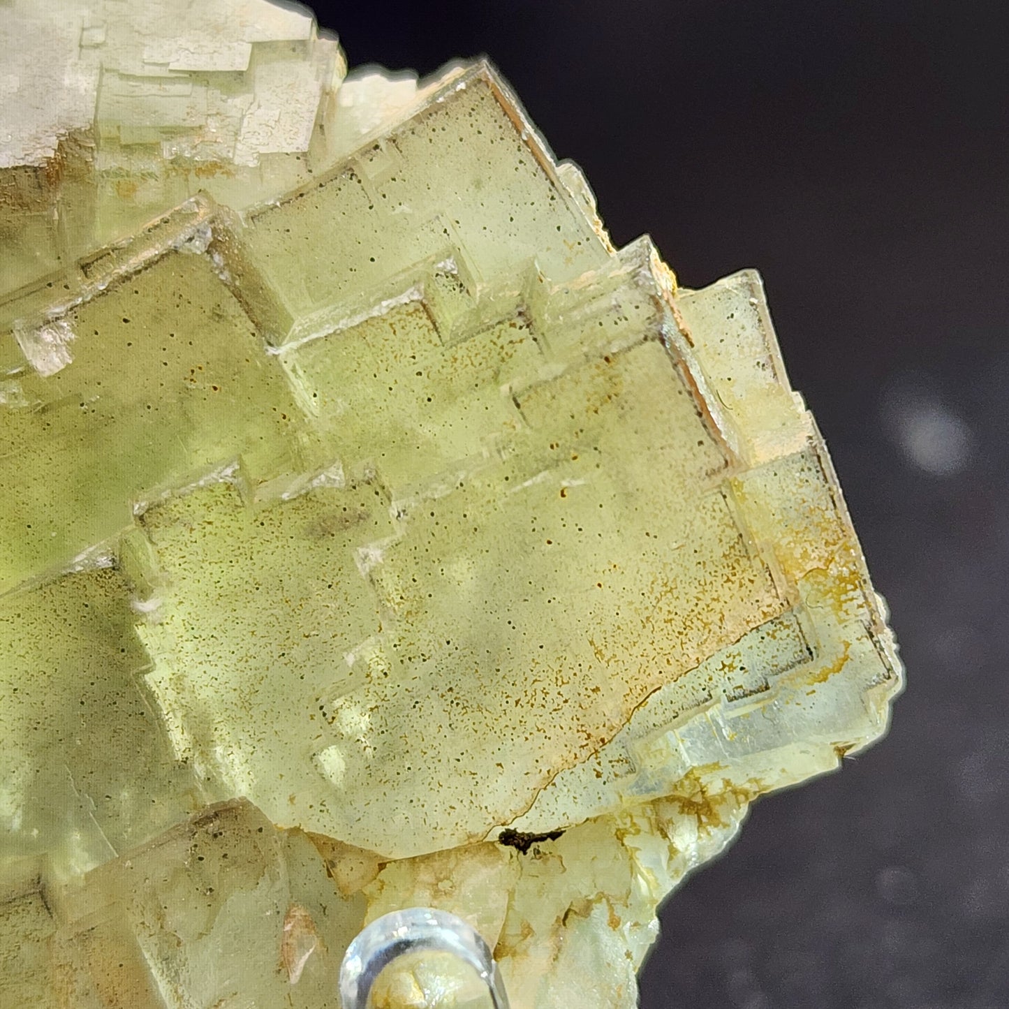 Close-up of a celery green fluorite crystal from the Cäcilia Mine, offered by The Crystalary, showcasing a layered, geometric structure with subtle speckling. The edges are sharp and the surface varies in transparency. It is displayed against a dark background.