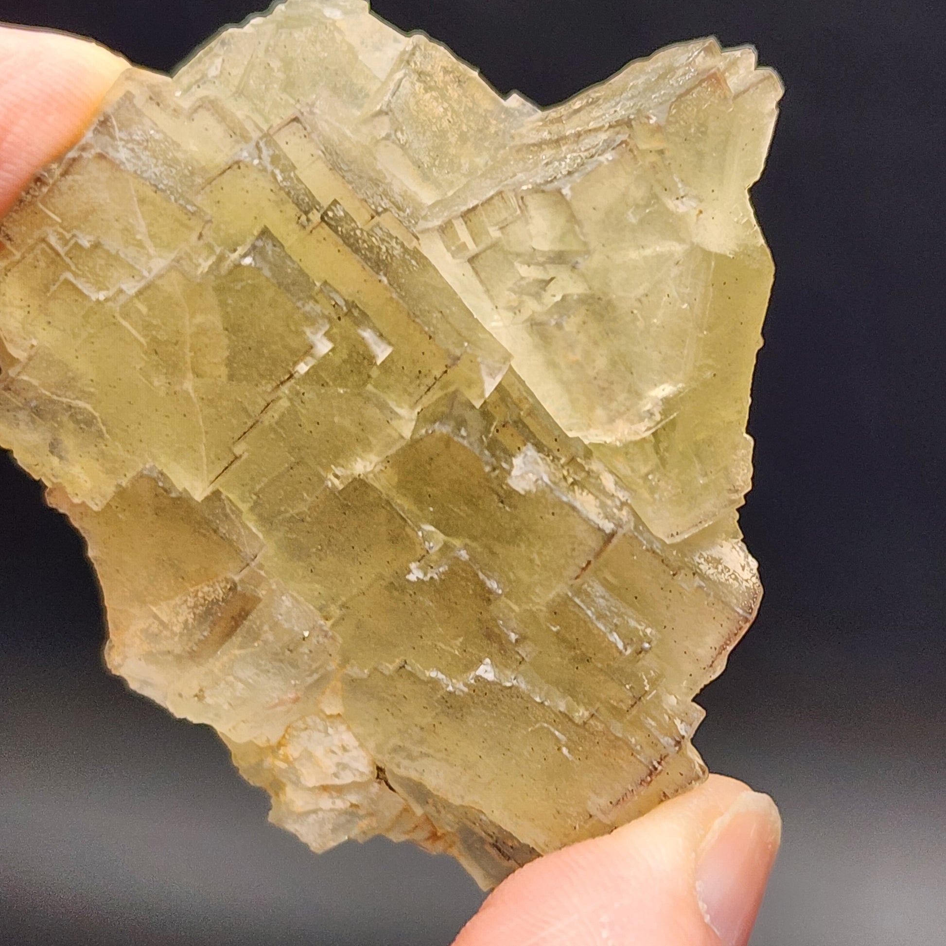 Close-up of hands holding a Fluorite crystal from the Cäcilia Mine, Freiung, Stulln, Schwandorf District, Upper Palatinate, Bavaria, Germany by The Crystalary. The crystal features a transparent body with a pale yellow hue and rough, jagged edges. Its texture and intricate patterns stand out against the blurred dark background, evoking the unique formations found in its place of origin.